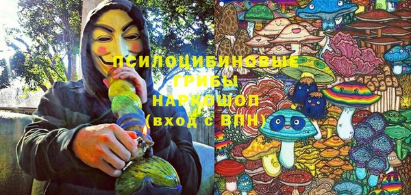 сатива Нефтекумск