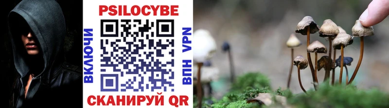 Псилоцибиновые грибы прущие грибы  Чусовой 